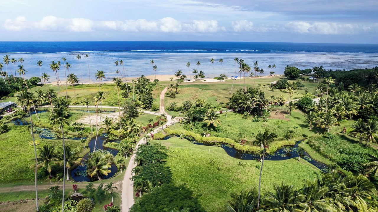 の写真 その他 で Savusavu