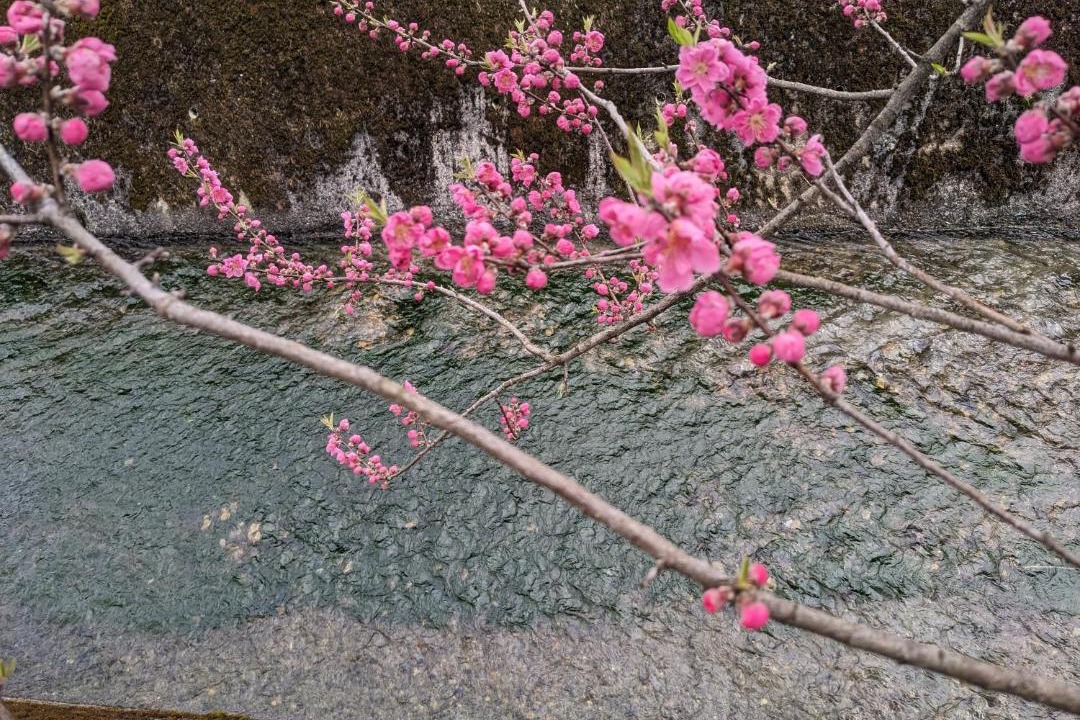 の写真 その他 で Imazu