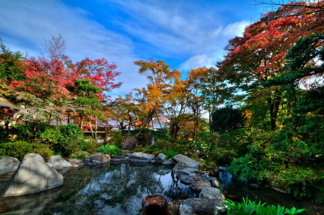 の写真 その他 で Yumoto
